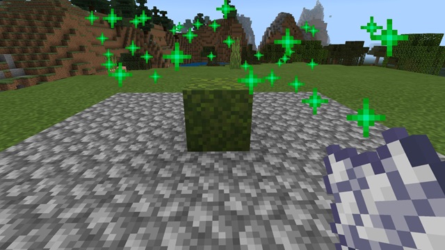 苔ブロック生成できず